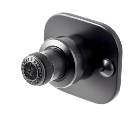Manual Crank